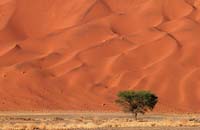 Africa landscape