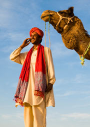 Arab on cell phone with camel