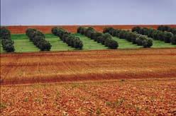 Spain landscape