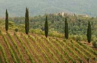 Europe landscape