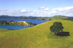 New Zealand landscape