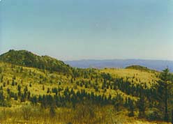 Virginia landscape