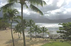 Hawaii landscape