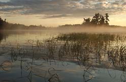 Minnesota landscape